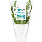 Bladpersilja Ekologisk 1-p KRAV Klass 1 ICA I.