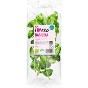 Basilika flowpack 20g Ekologisk Klass 1 ICA I love eco.