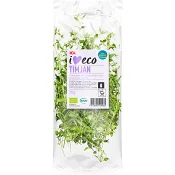 Timjan Flowpack 20g Ekologisk Klass 1 ICA I love eco.