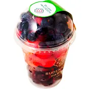 Bärmix Stor ca 290g Klass 1 Rudenstams.