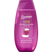 Schampo &amp; Balsam Hallon 250ml Barnängen.