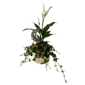 Arr Ramadan Fredskalla.