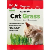 Kattgräs 100g Dogman.