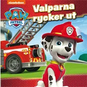 Valparna rycker ut.