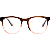 Läsglasögon 011 brun +2,5 Waye Readers.