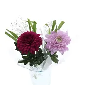 Bukett Student solitär 50cm.