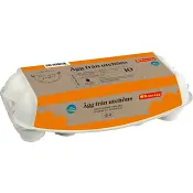 Ägg Frigående utomhus M/L 10-p Kronägg.
