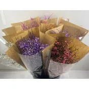 Ginst 60cm varierande färger.