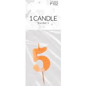 Sifferljus 5 1st Happy Party.