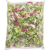 Sallad Frisée/Rosé 500g ICA Meny.