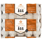 Ägg Frigående M 20-p Stjärnägg.