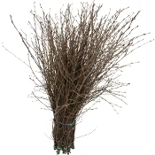 Påskris utan fjädrar 80cm.