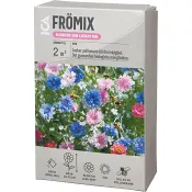 Fröer Rabatt som lockar bin ICA Garden.