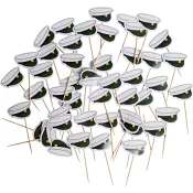 Cocktailpinnar studentmössa Nordic Season.