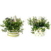 Arr Påsk grön mix 9cm x8.