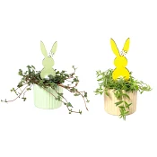 Arrangemang Kanin 6cm x12.