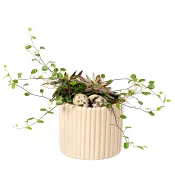 Arrangemang Creme 9cm x8.