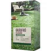 Gräsfrö Elegans 1kg ICA Garden.