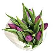 ICA Tulpaner 9 pack i lila toner.