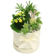 Arr Påsk Box 15cm x6.