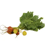 Gulbeta Knippe 500g Klass 1 ICA.