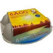 Ägg Frigående M/L 6-p Yttertavleägg.