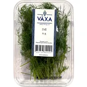 Dill Färsk 15g Växa odling i Sverige.