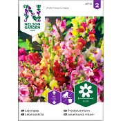 Lejongap Hög 1st Nelson Garden.