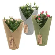 Arrangemang Ros i Sleeve 17cm.