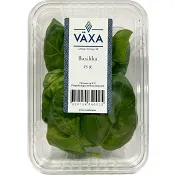 Basilika Färsk 15g Växa odling i Sverige.