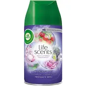 Luftfräschare Refill Mystical garden 250ml Air Wick.