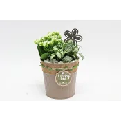 Arr zink morsdag 13cm x6.