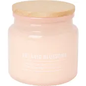 Doftljus burk Botanic blossoms ICA.