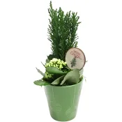 Julgrupp Grön Cypress12,5cm x6.