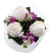 Bukett Pioner med andra blommor large 50cm.