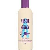 Schampo Miracle Moist 300ml Aussie.
