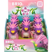 Petunia 1-p BRIO Flora.