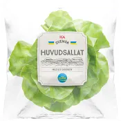 Huvudsallat 150 Gram Klass 1 ICA.