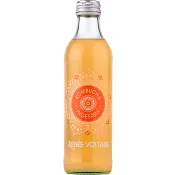 Kombucha Ingefära 275ml Renée Voltaire.
