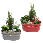 Julgrupp Oval Mix 25x14cm x4.