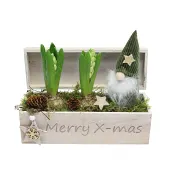 Julgrupp Hya låda 24x8,5cm x5.