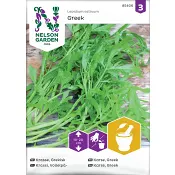 Krasse, Grekisk Krasse,.