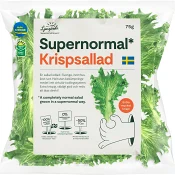 Krispsallad 75g Ljusgårda.