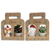 Julgrupp Vinter set mix 6cm x7.