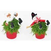 Arrangemang Tomte i hemtrevnad bredd 13cm höjd ca 20cm.