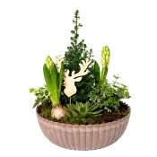 Julgrupp Trend L 20cm x3.