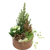 Julgrupp Rost 19cm x5 500 Gram.