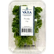 Persilja Färsk 15g Växa odling i Sverige.