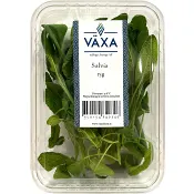 Salvia Färsk 15g Växa odling i Sverige.