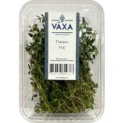 Timjan Färsk 15g Växa odling i Sverige.